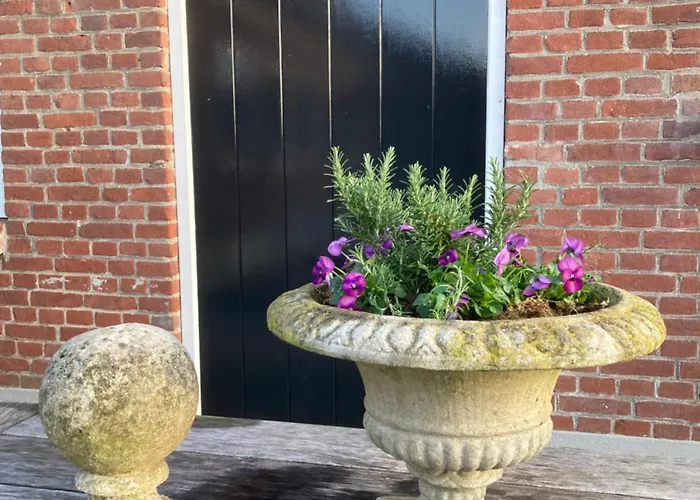 House Of Flowers, Gendringen, Achterhoek, Gelderland * Gendringen