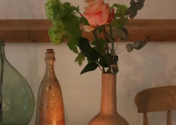 House Of Flowers, Gendringen, Achterhoek, Gelderland Semesterbostad *