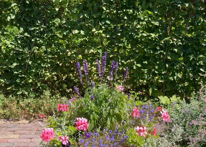 Semesterbostad House Of Flowers, Gendringen, Achterhoek, Gelderland Gendringen