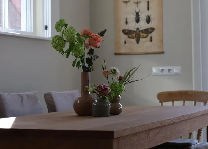 House Of Flowers, Gendringen, Achterhoek, Gelderland