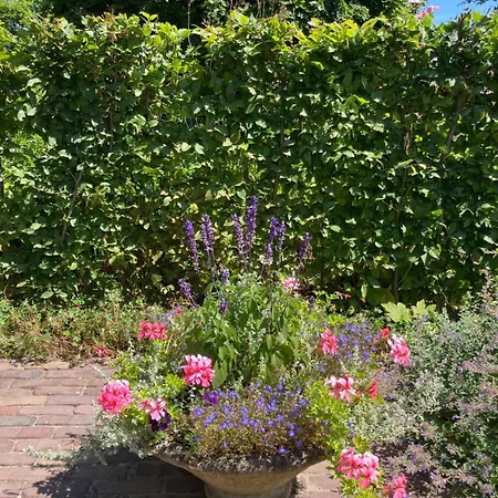 Vakantiehuis House Of Flowers, Gendringen, Achterhoek, Gelderland Gendringen