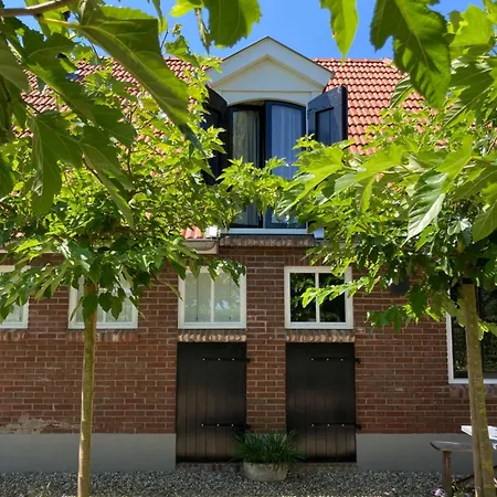 House Of Flowers, Gendringen, Achterhoek, Gelderland *